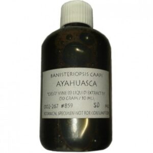 Acheter Ayahuasca en ligne